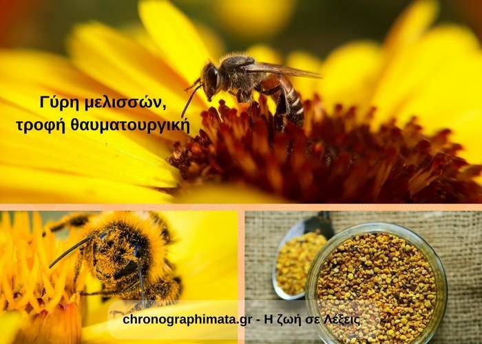 Γύρη μελισσών