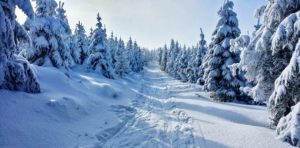 winter-1384661_1920
